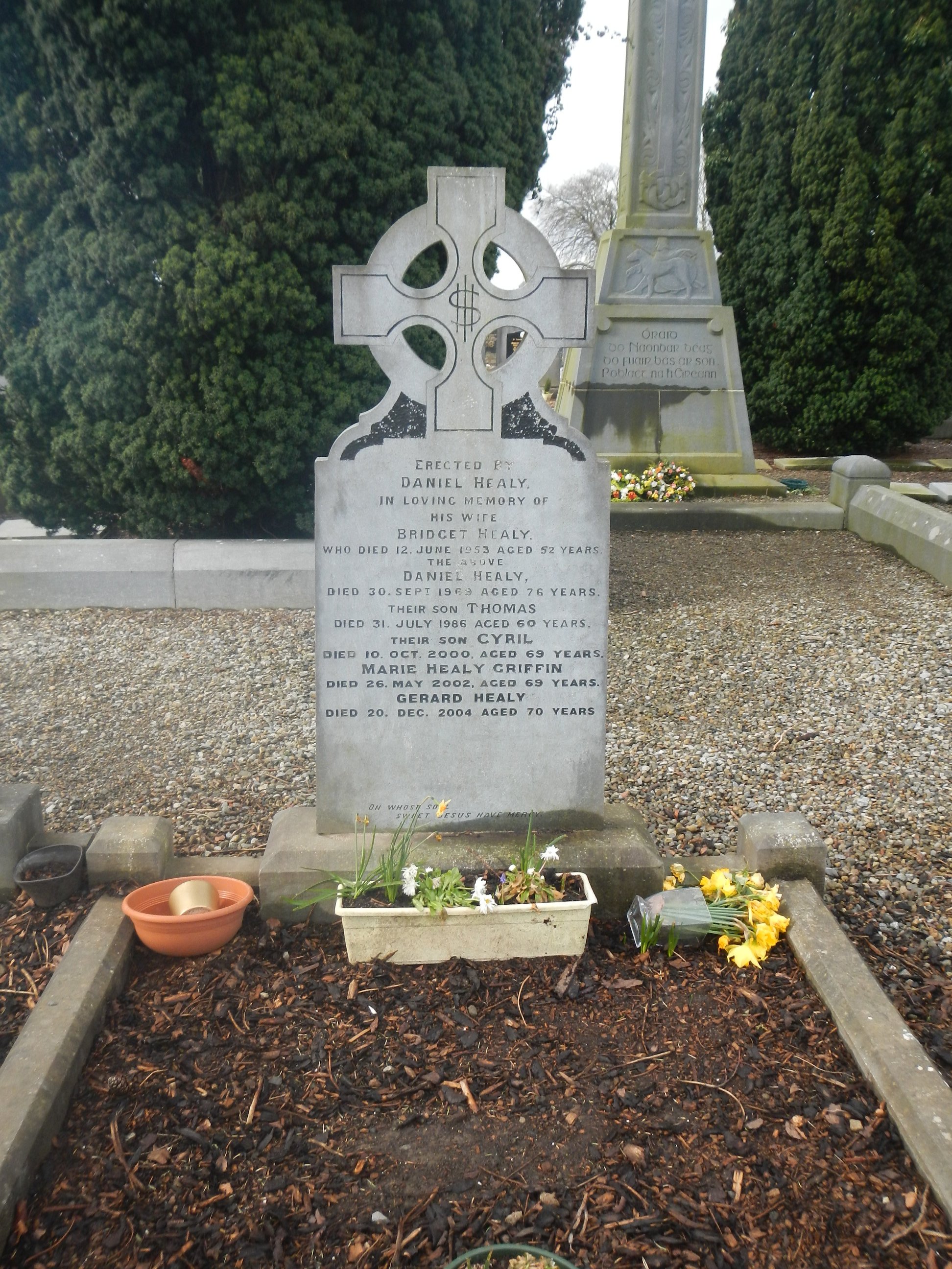 Healy 1953 (7727) | Mount Saint Lawrence Cemetery