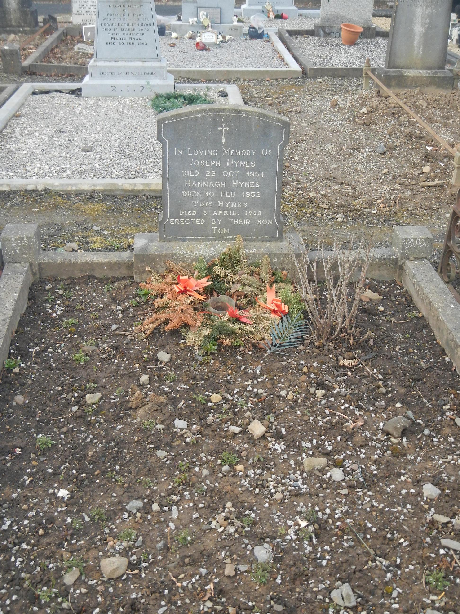 JOSEPH HYNES (68537) | Mount Saint Lawrence Cemetery