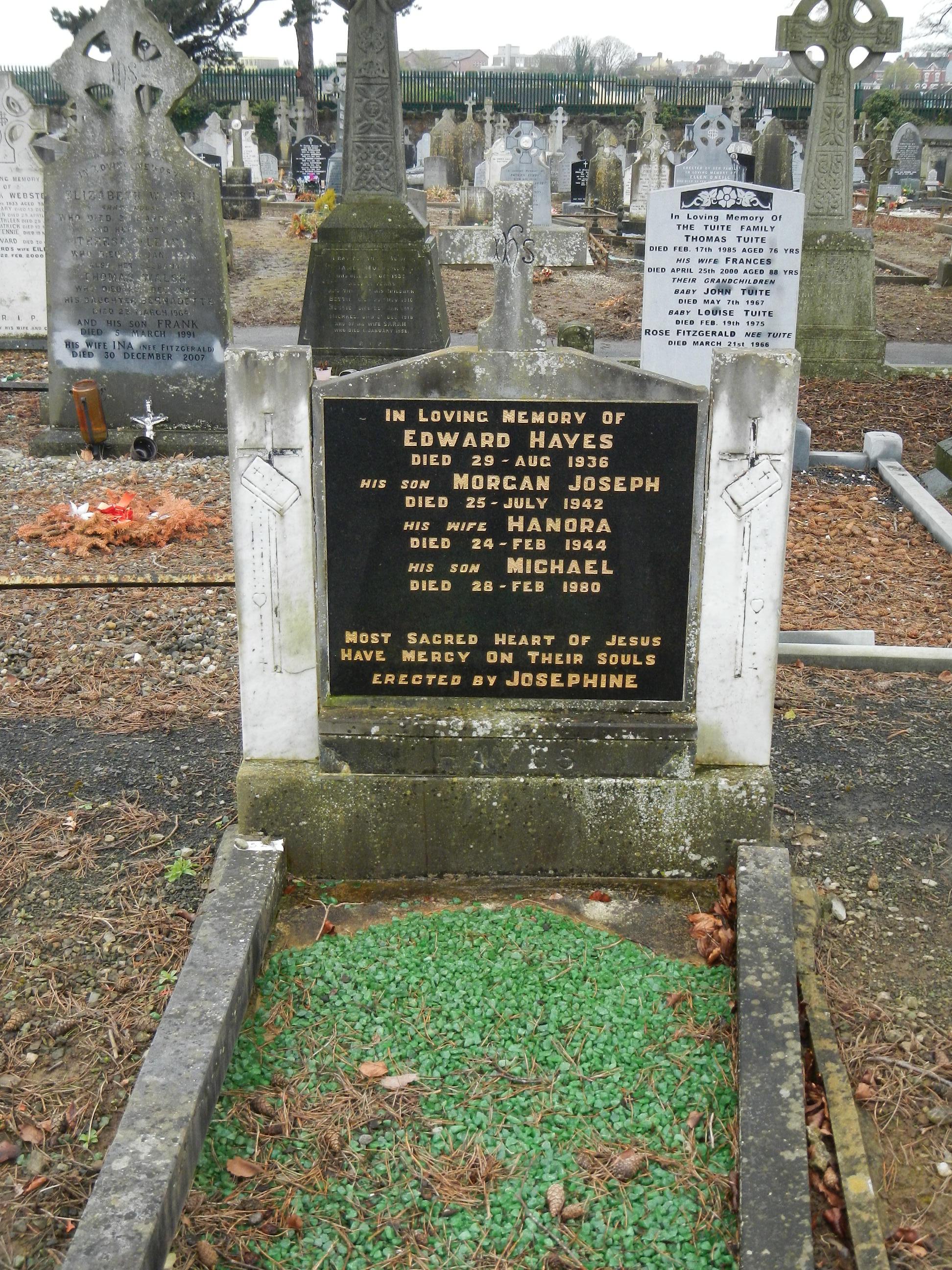 Hayes 1936 (8795) | Mount Saint Lawrence Cemetery