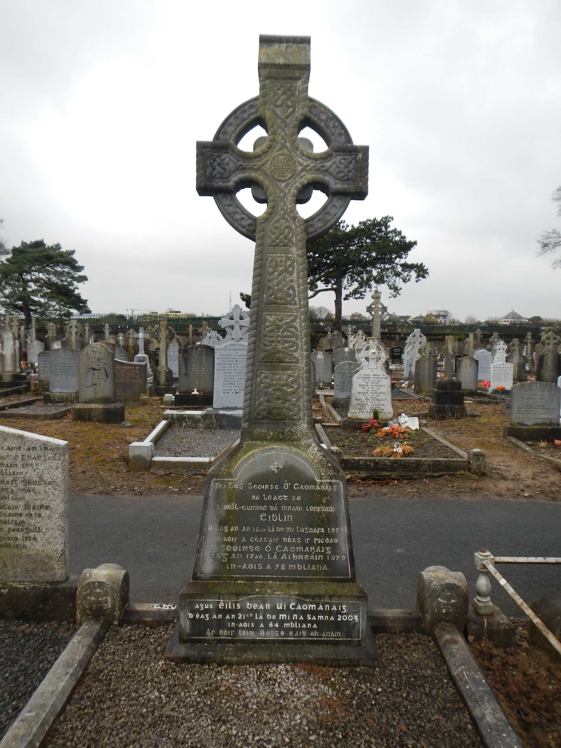 saoirse OChaomhanaigh (64853) | Mount Saint Lawrence Cemetery